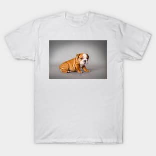 Bulldog puppy T-Shirt